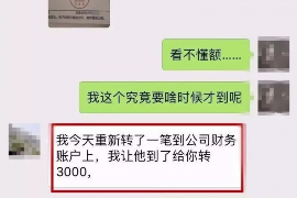 张家界为什么选择专业追讨公司来处理您的债务纠纷？